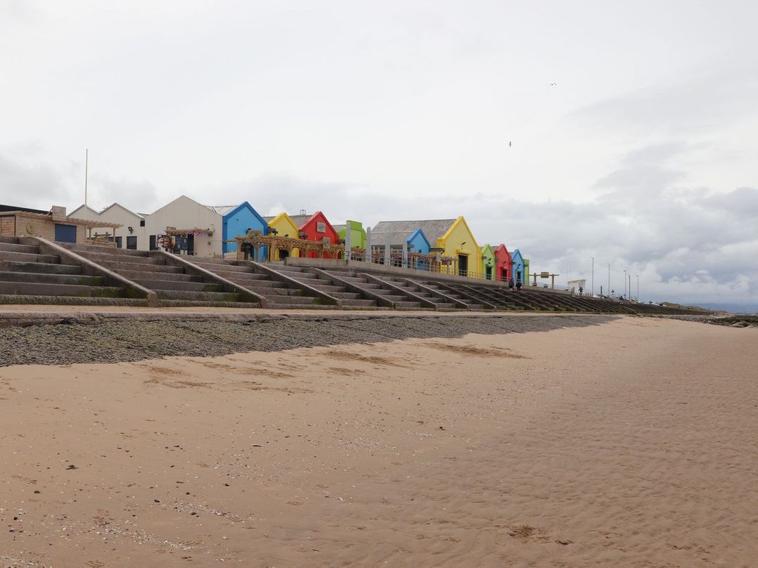 Willerby Ellerrton (delyn)