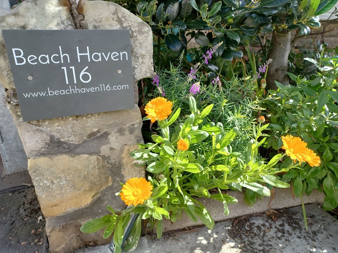 Beach Haven 116