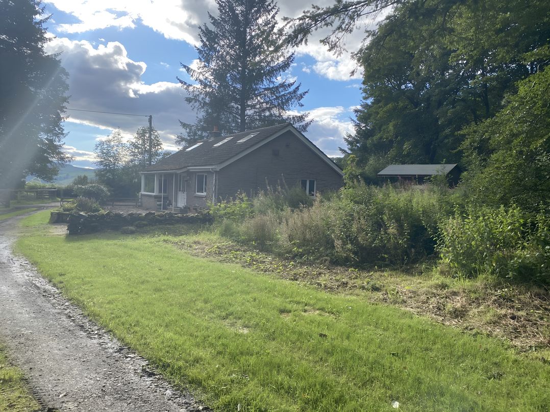 Whispering Trees Cottage