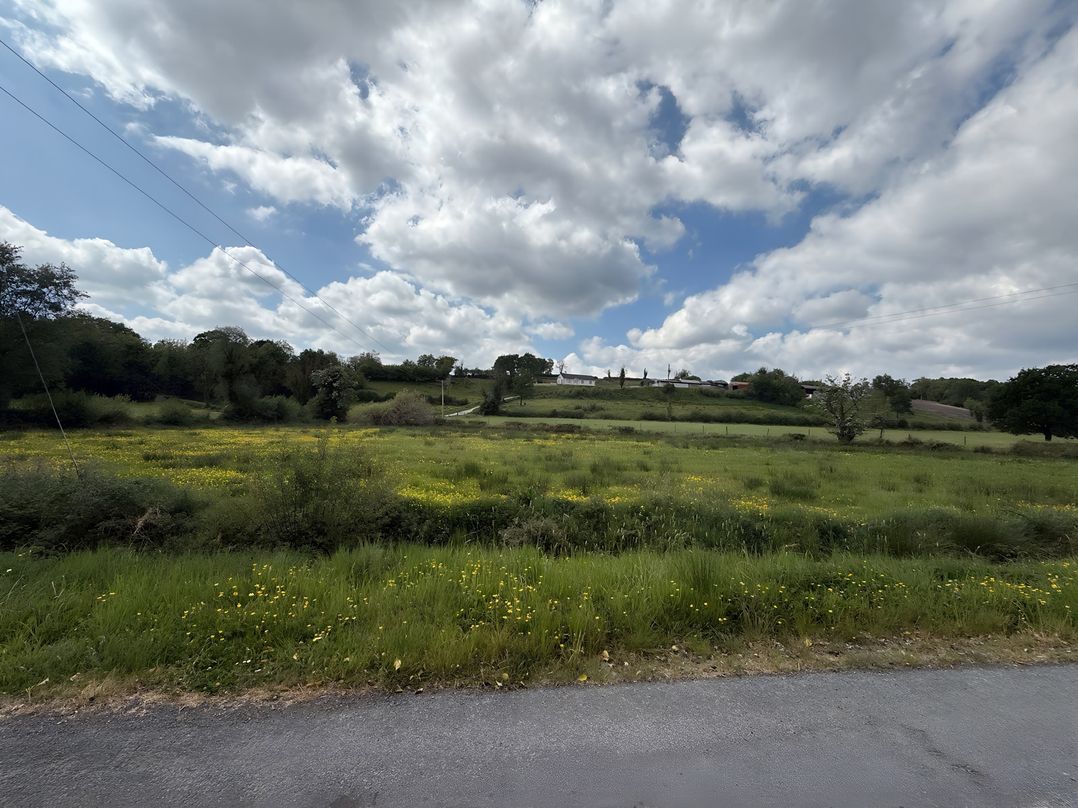 Cherry Chirp Cottage