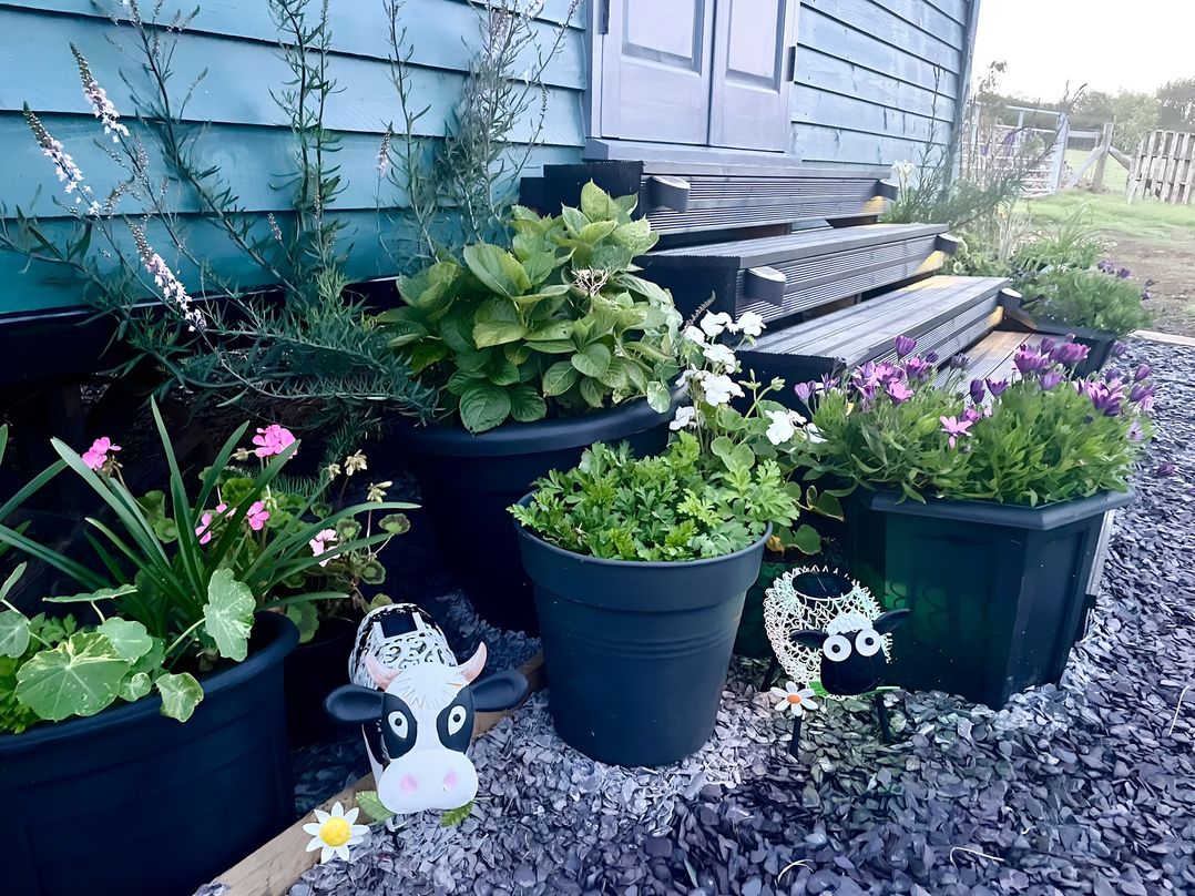 Bluebell Shepherd’s Hut
