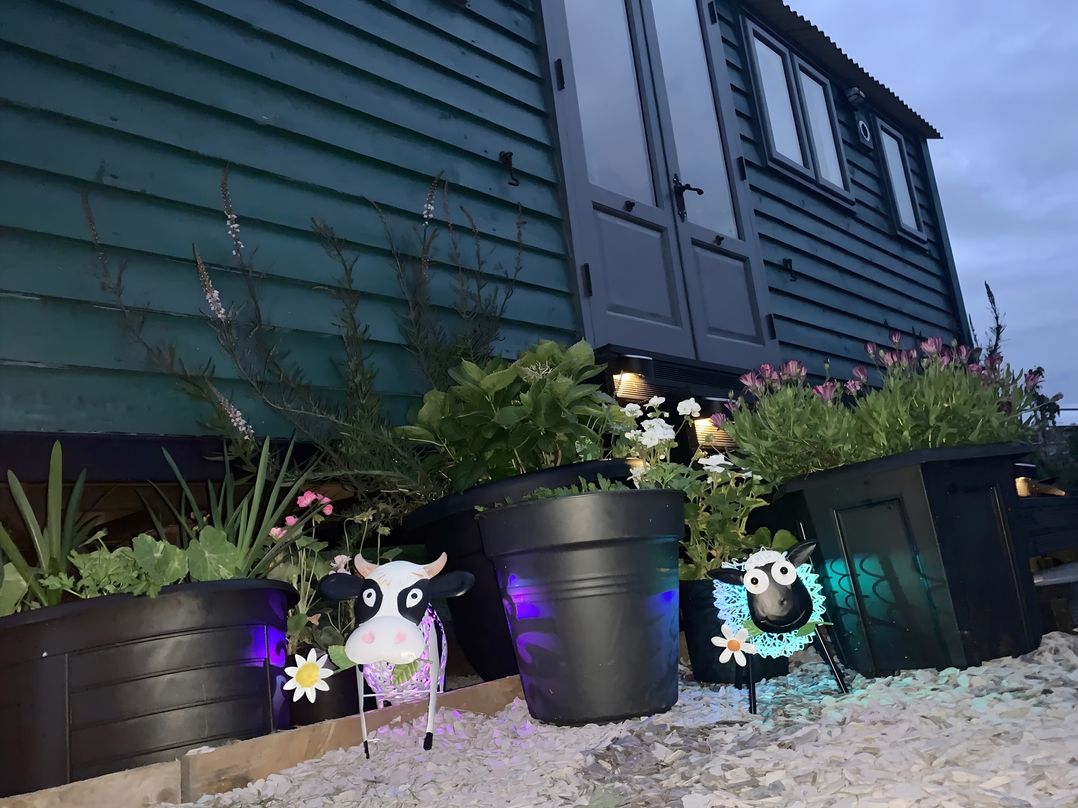 Bluebell Shepherd’s Hut