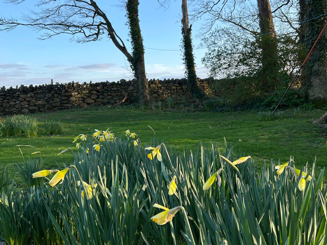 Bodior Garden Cottage Bach