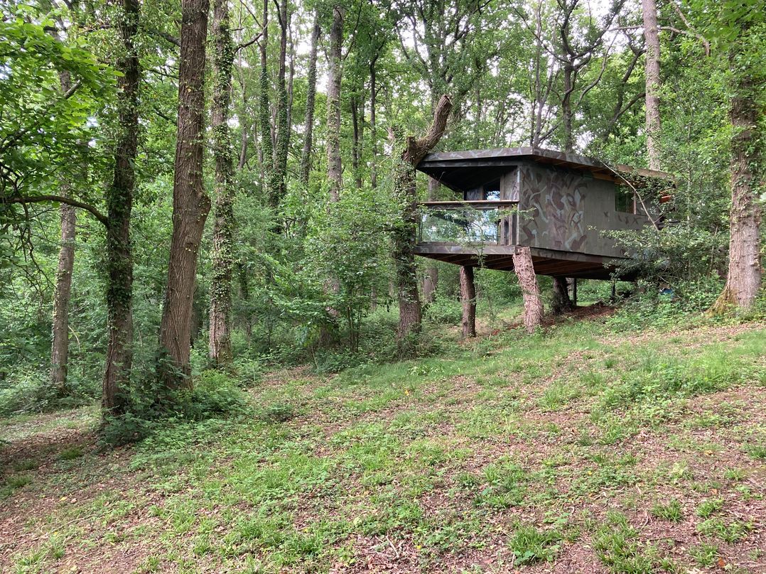 The Tree House in the Woods