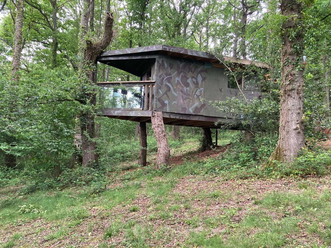 The Tree House in the Woods