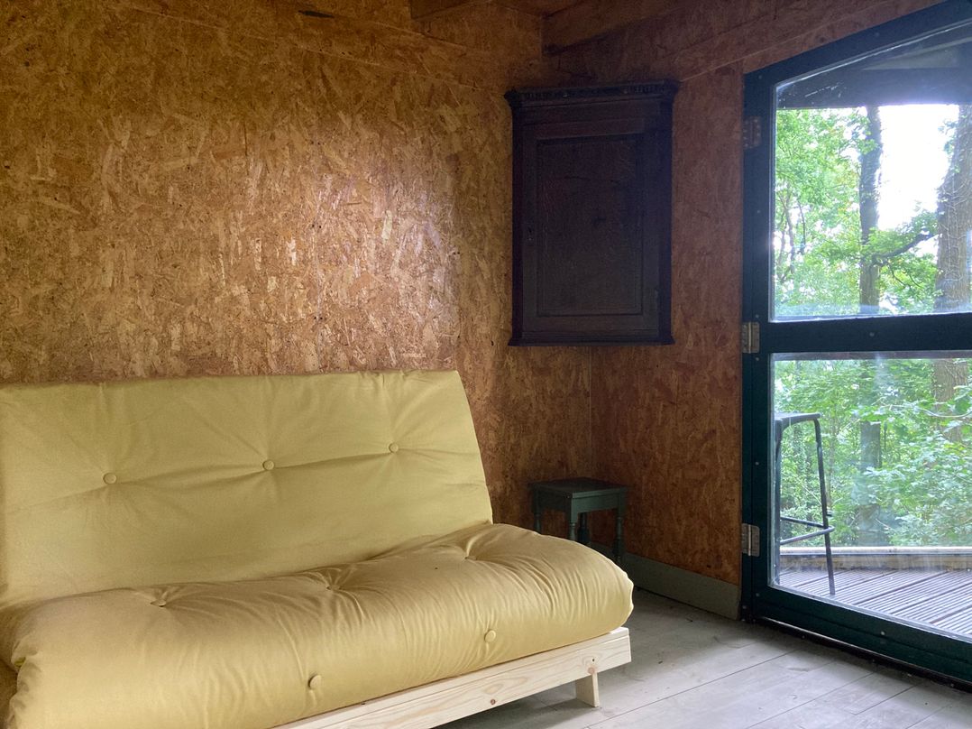 The Tree House in the Woods