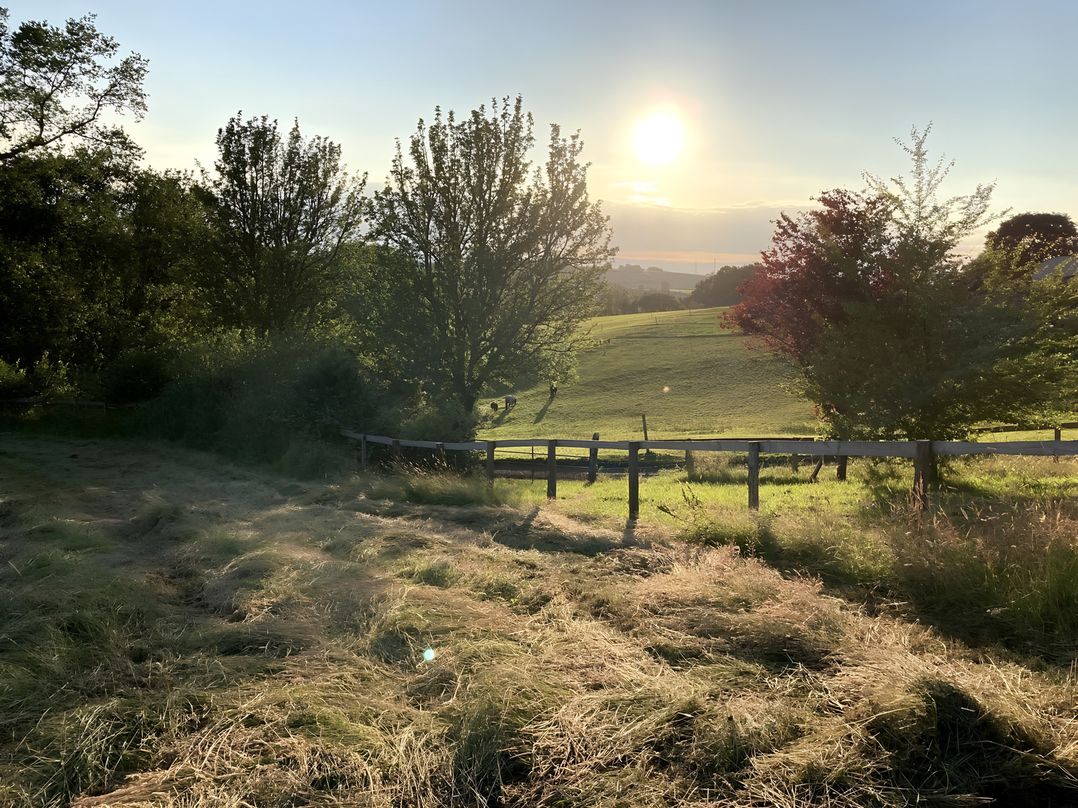 Cosy Shepherd’s Hut