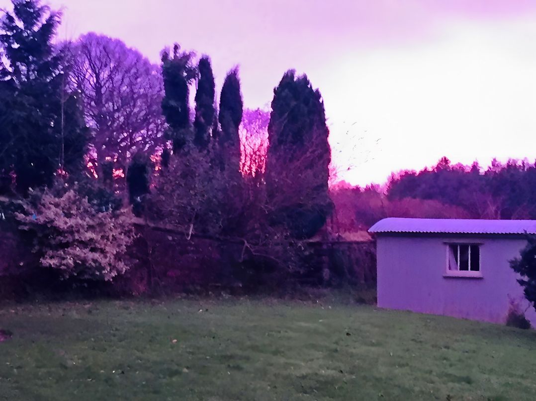 Cosy Shepherd’s Hut