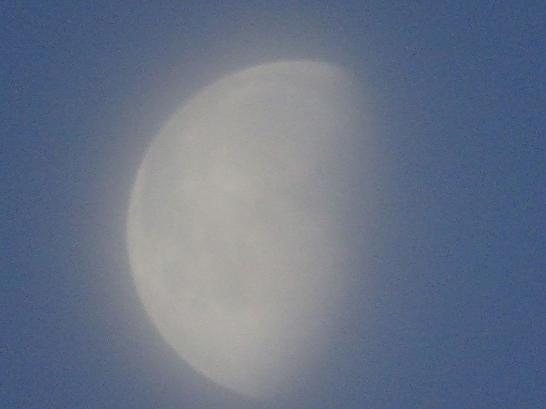 Cosy Shepherd’s Hut
