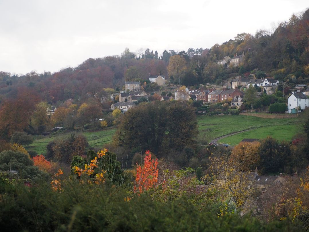 Golden Valley View
