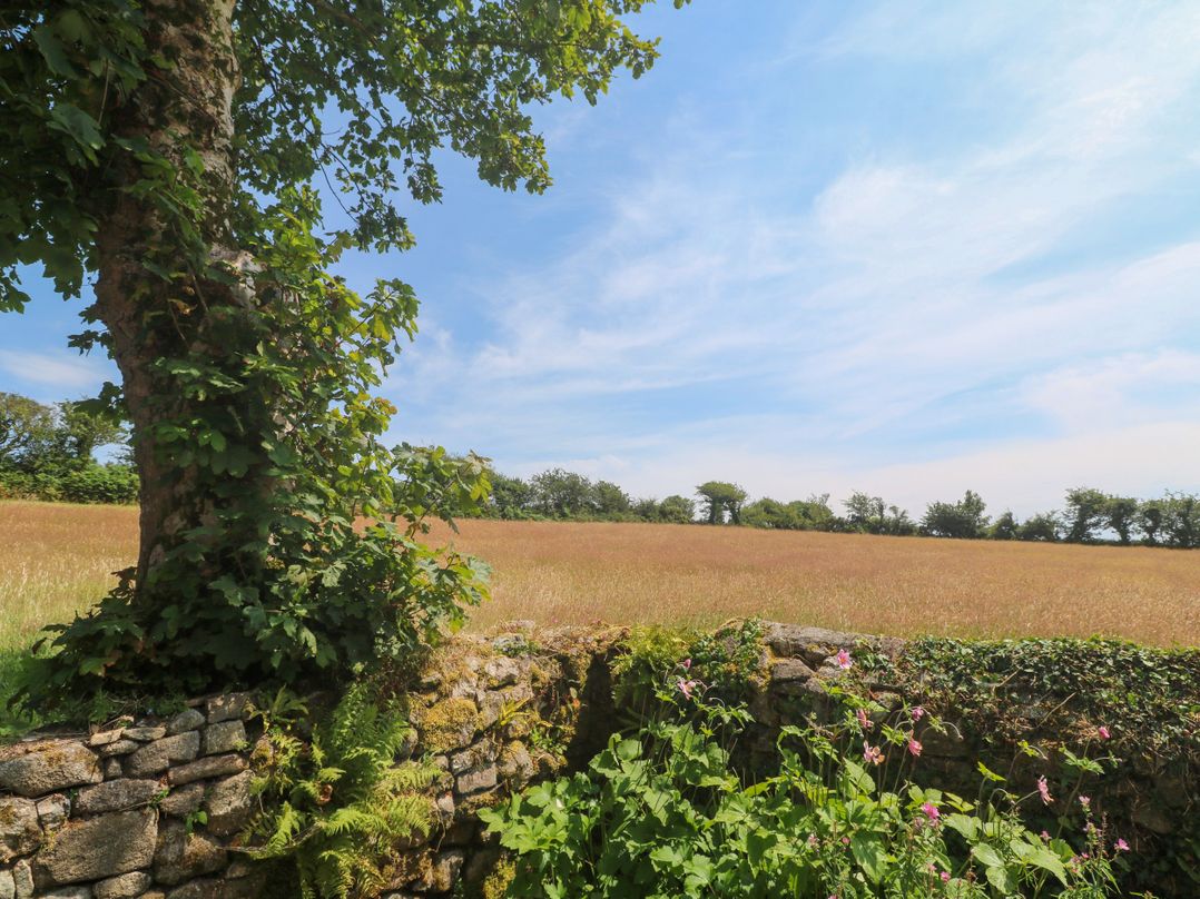 Halwyn Farm
