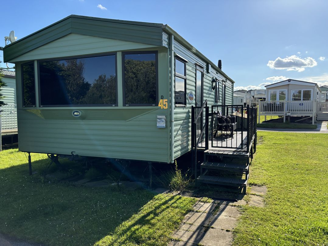 Dunlin dell 45 (D45)