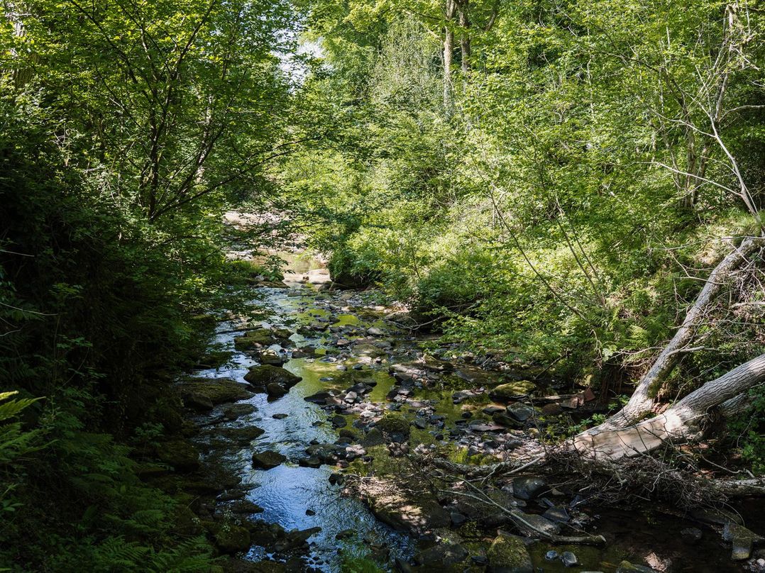 Carwinley Mill House Cottage