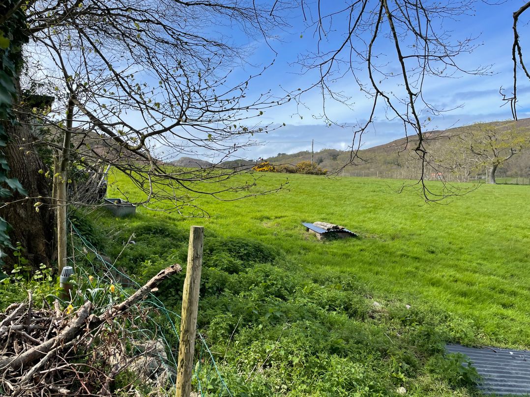 Inglewood Bach