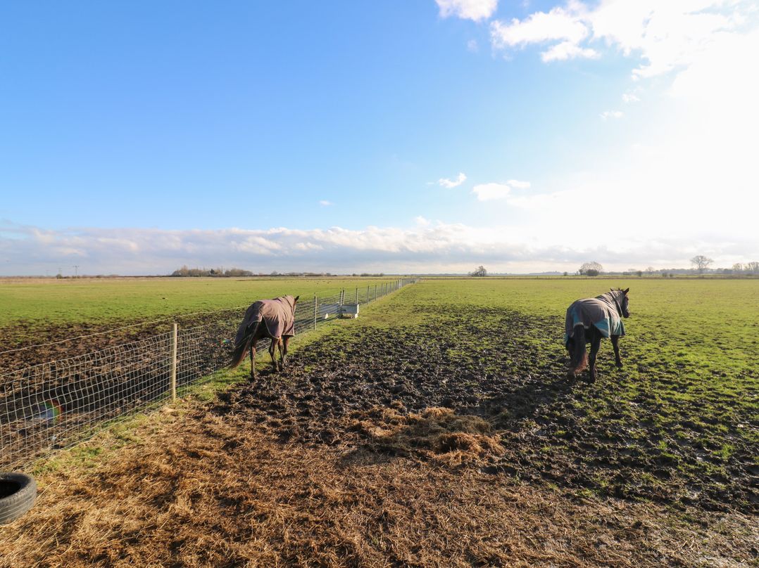 Granada at Avalon Eco Farm
