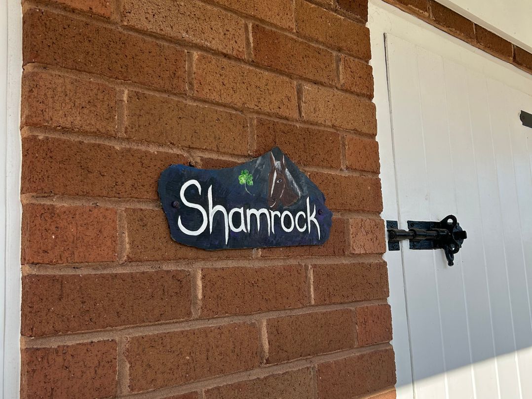 Shamrock