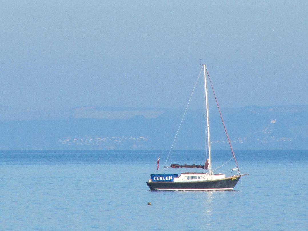 The Garden Apartment