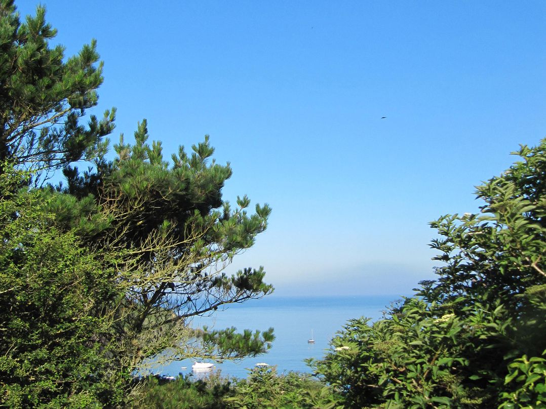 The Garden Apartment