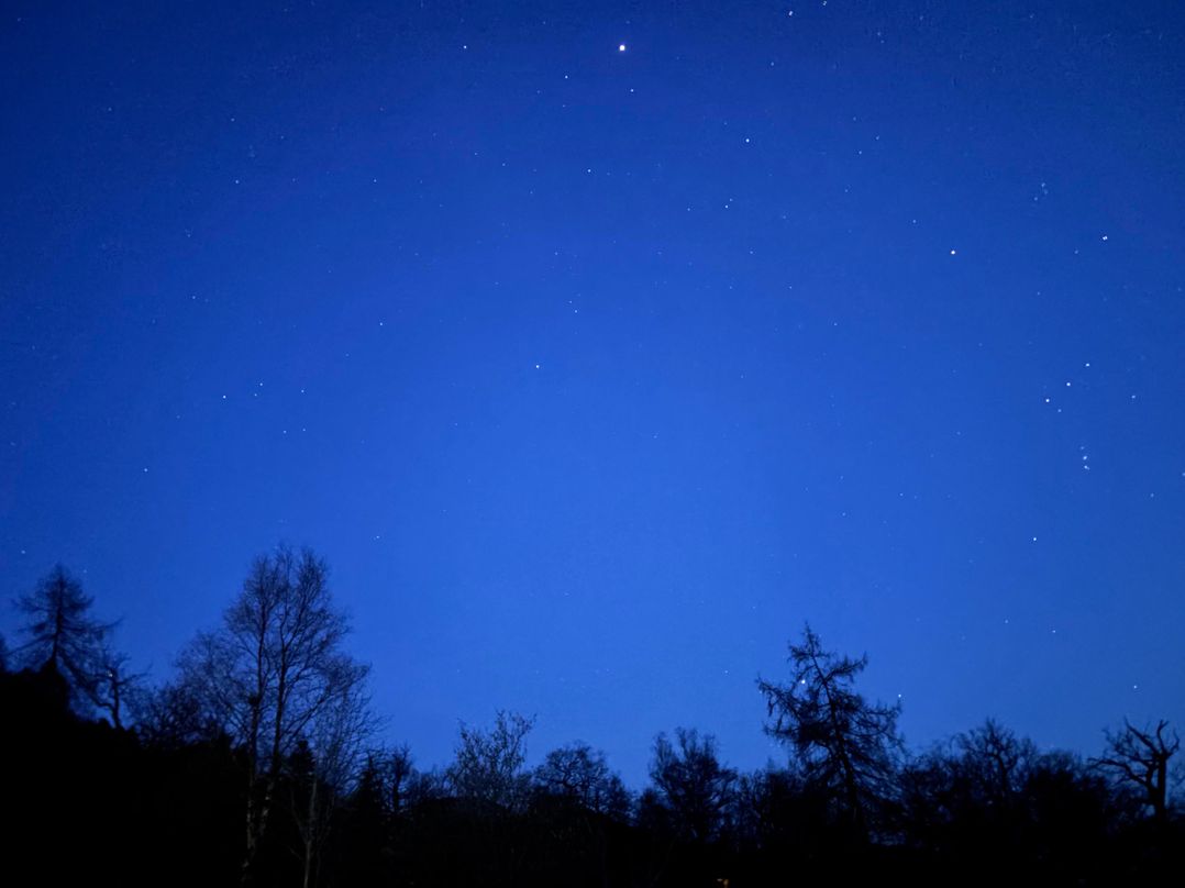 Bluebelle - Crossgate Luxury Glamping