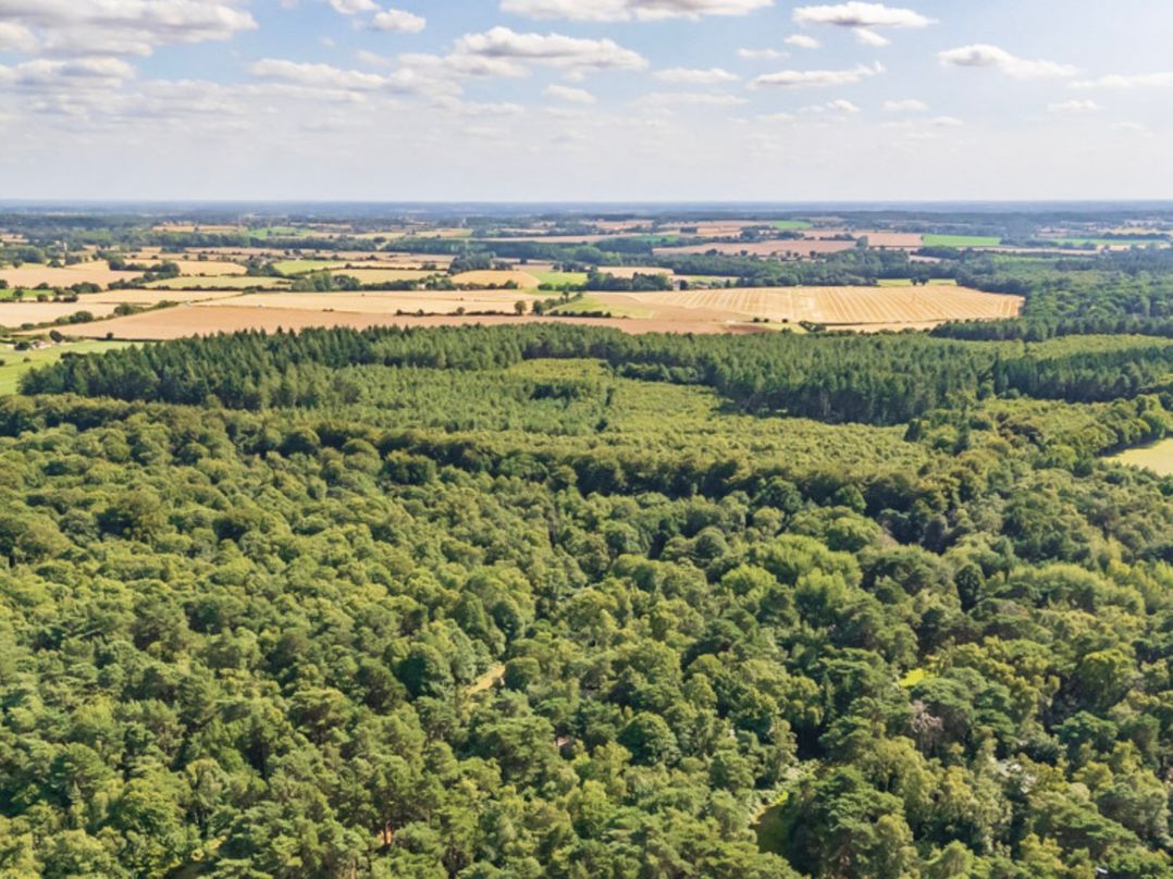 Fern View -Kelling Heath Holiday Park