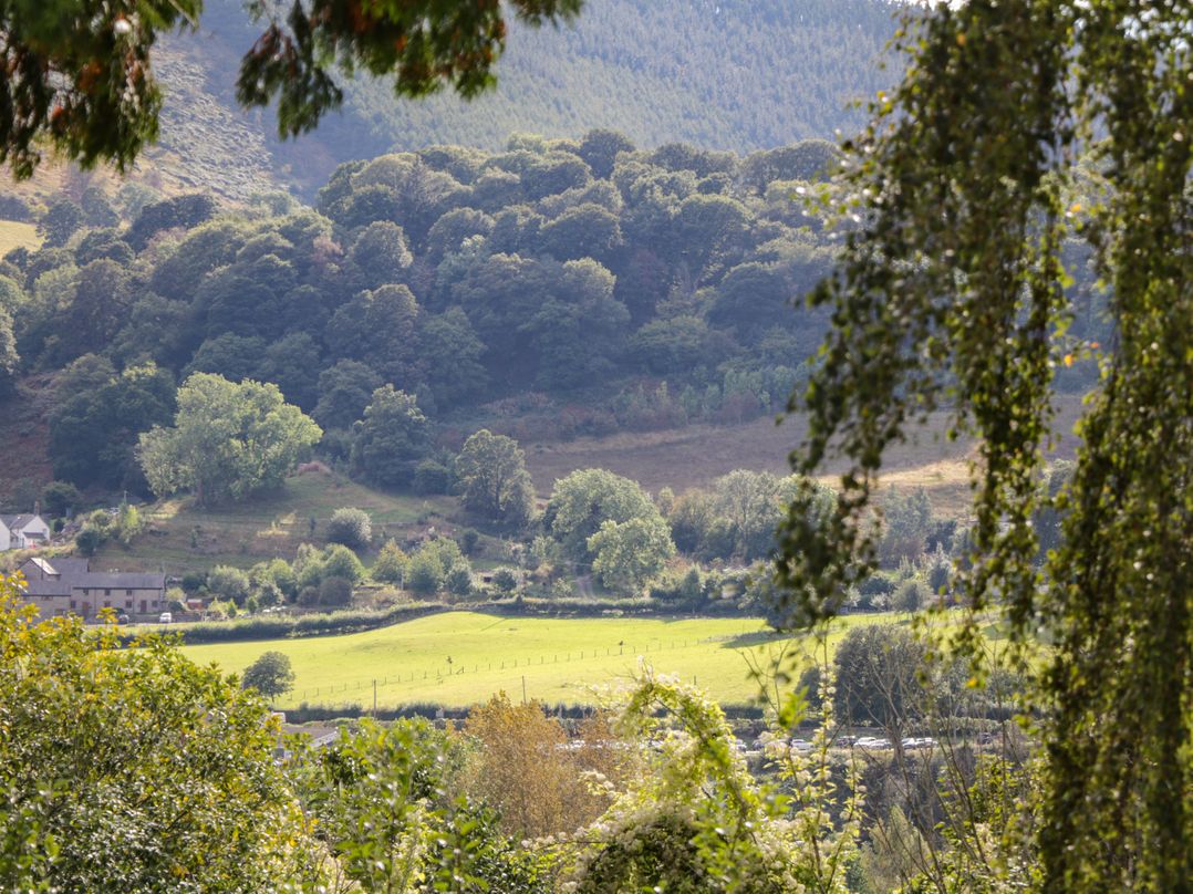 A view of trees and fields at Sun Trevor Barn 1 in Llangollen