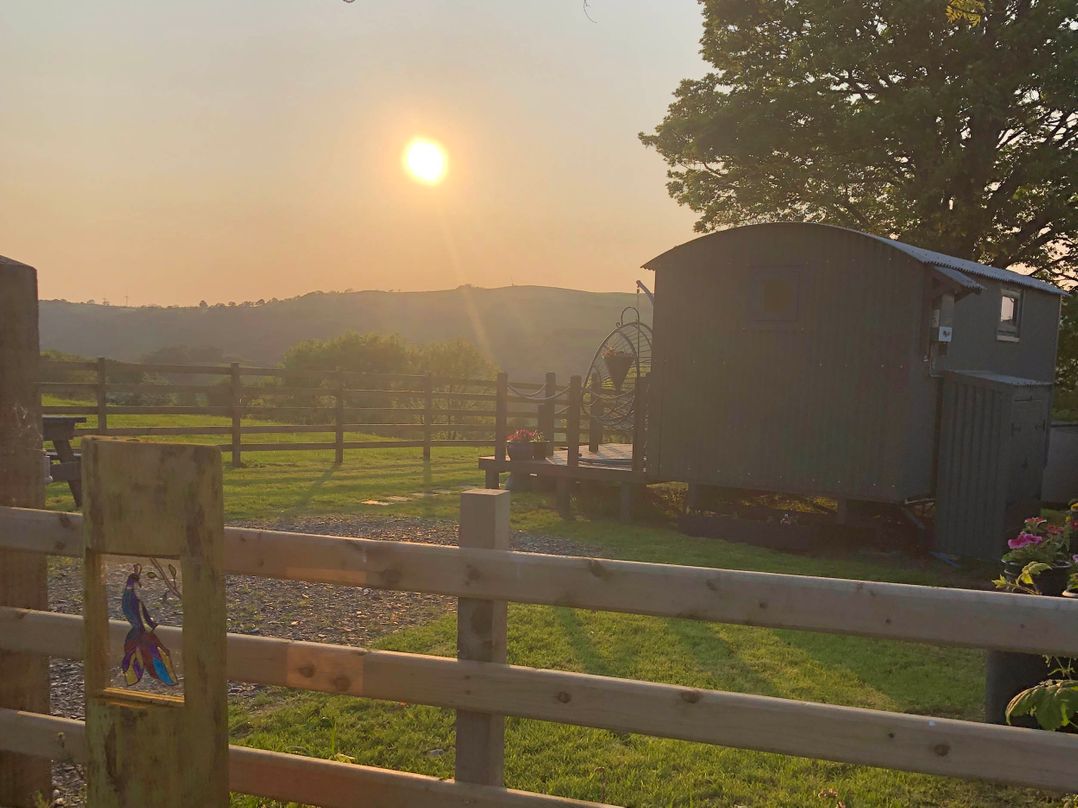 The Peacock Shepherds Hut at Hafoty Boeth