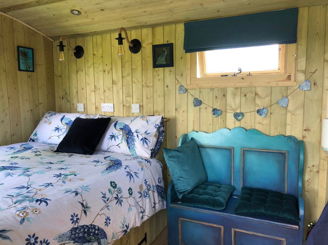 The Peacock Shepherds Hut at Hafoty Boeth