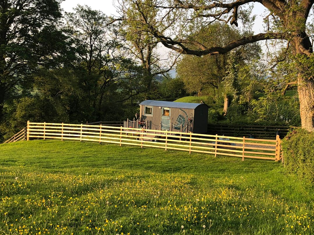 The Peacock Shepherds Hut at Hafoty Boeth