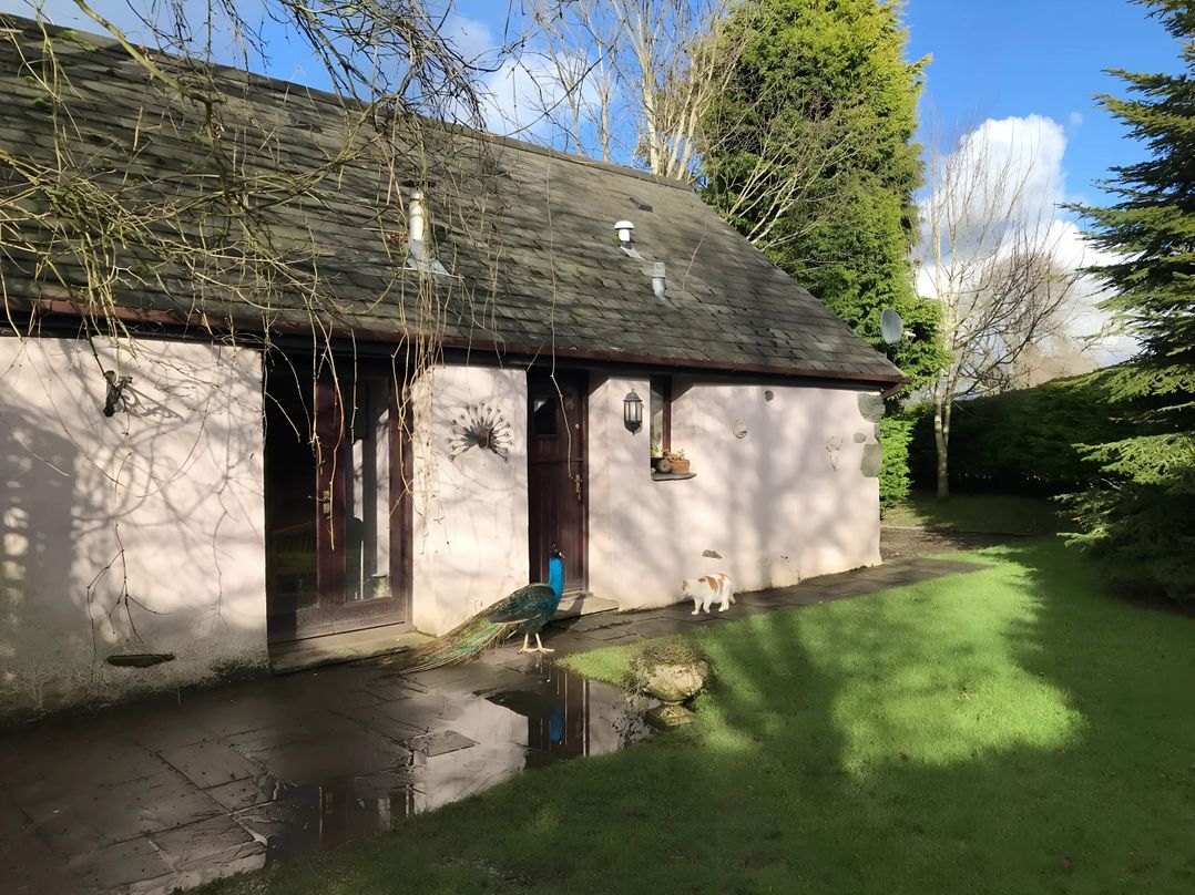 Converted Stone Barn -20 Acres - Farm Animals!