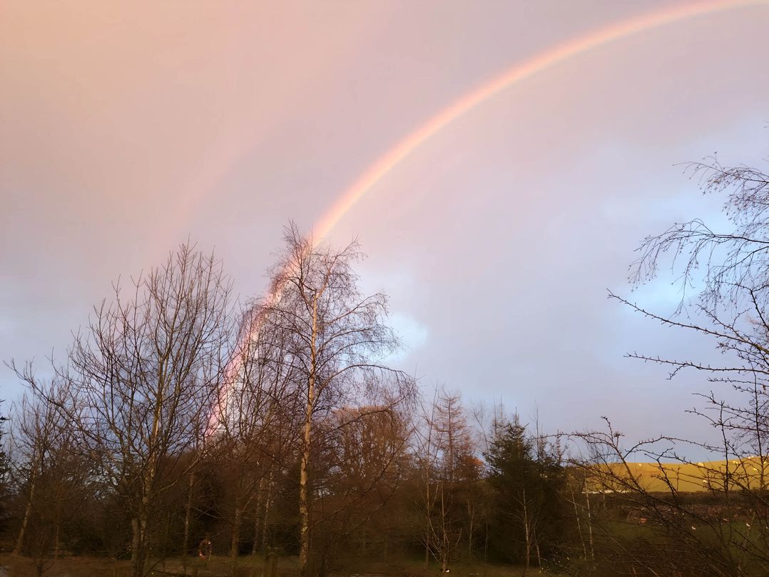 Converted Stone Barn -20 Acres - Farm Animals!