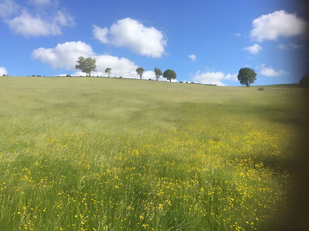 Converted Stone Barn -20 Acres - Farm Animals!