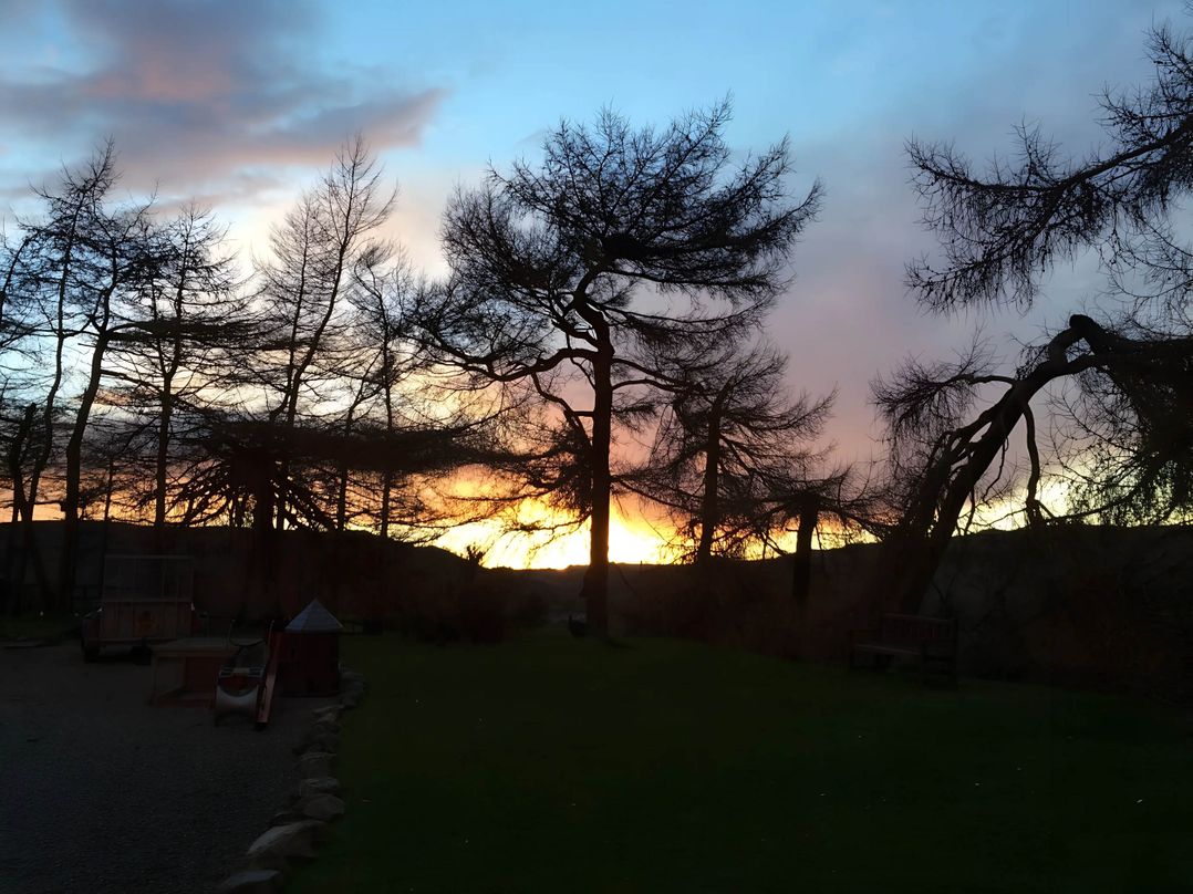 Converted Stone Barn -20 Acres - Farm Animals!