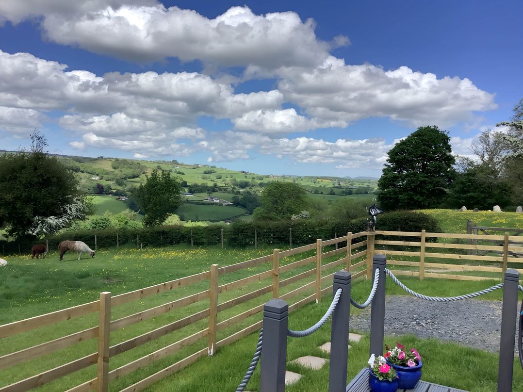 The Shepherds Hut at Hafoty Boeth