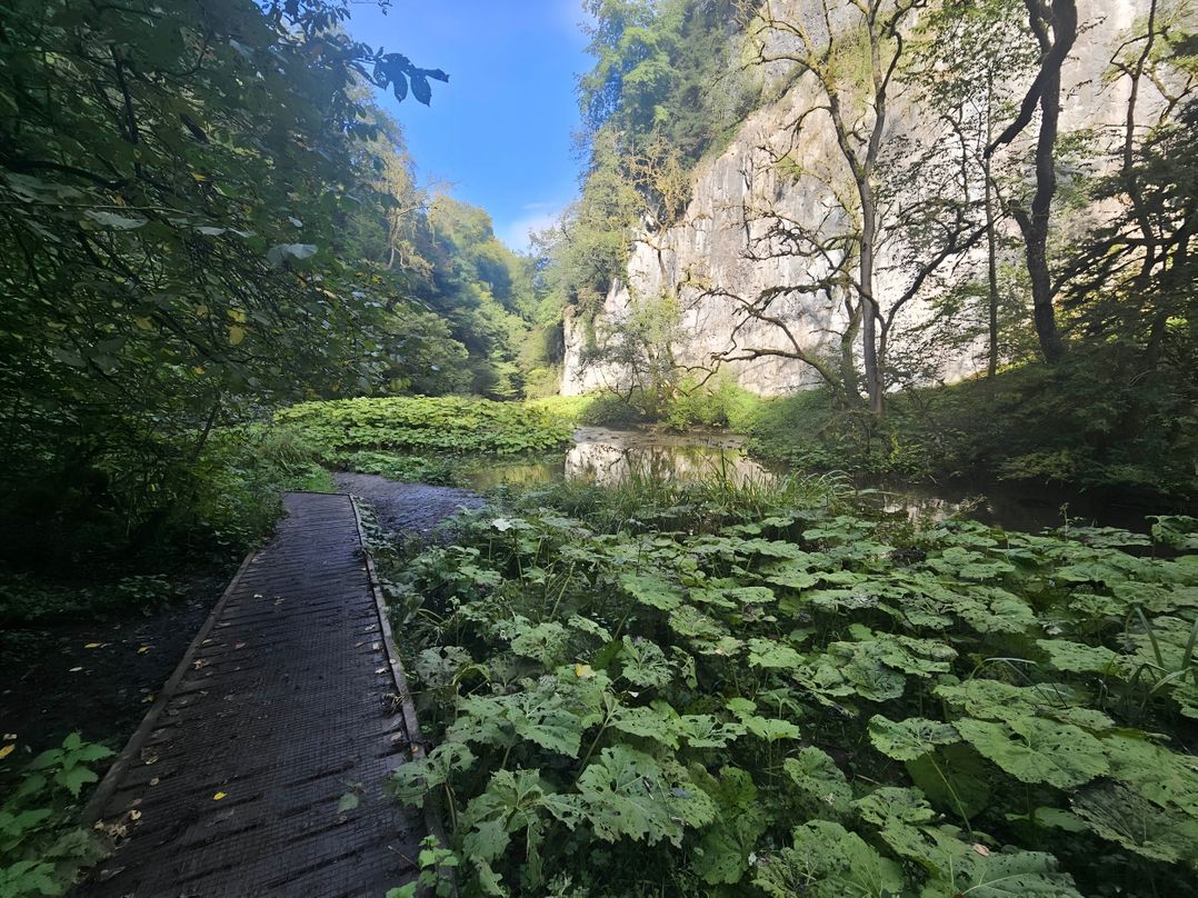 Rose Cottage - Cosy cottage in Millers Dale