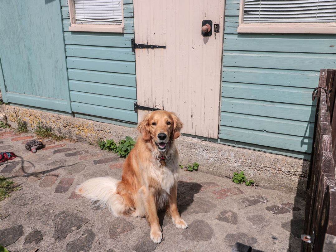 Ruby’s Den