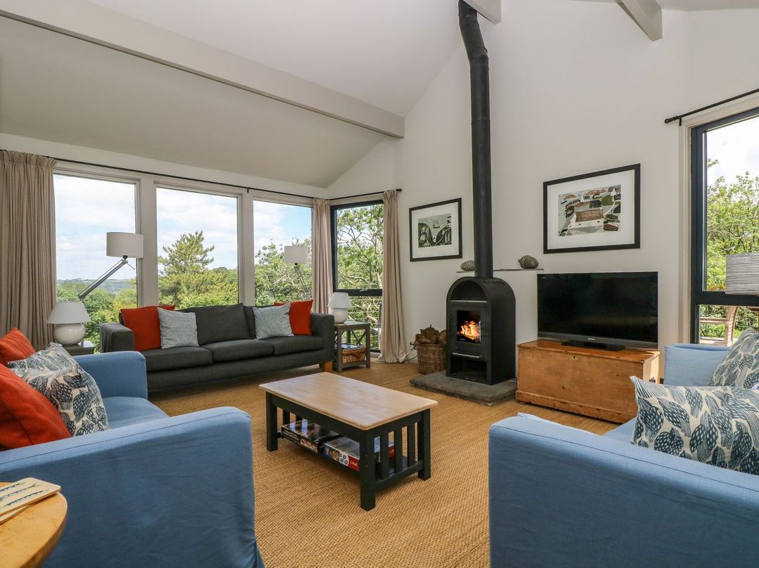 A living room with a wood stove and a television at Wood Meadow in Helston