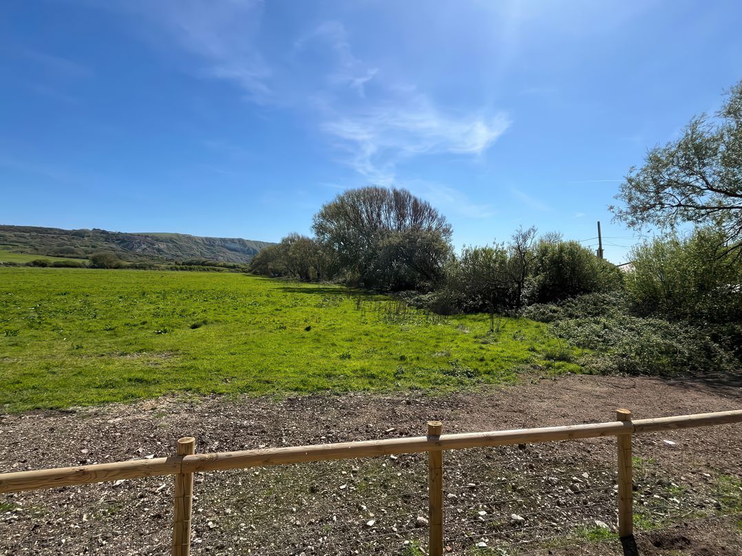 The Orchard