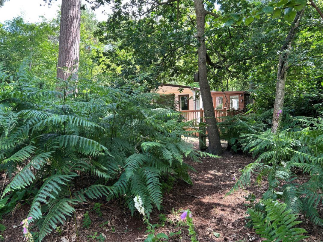 The But n Ben - -Kelling Heath Holiday Park