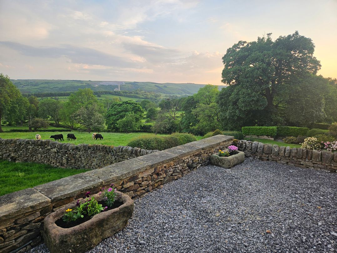 Thorn Tree Cottage
