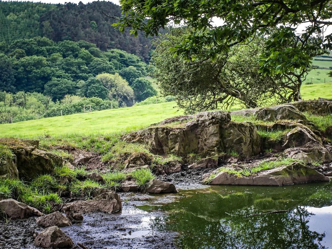 Yurts, barn and fire pit in a Snowdonia valley