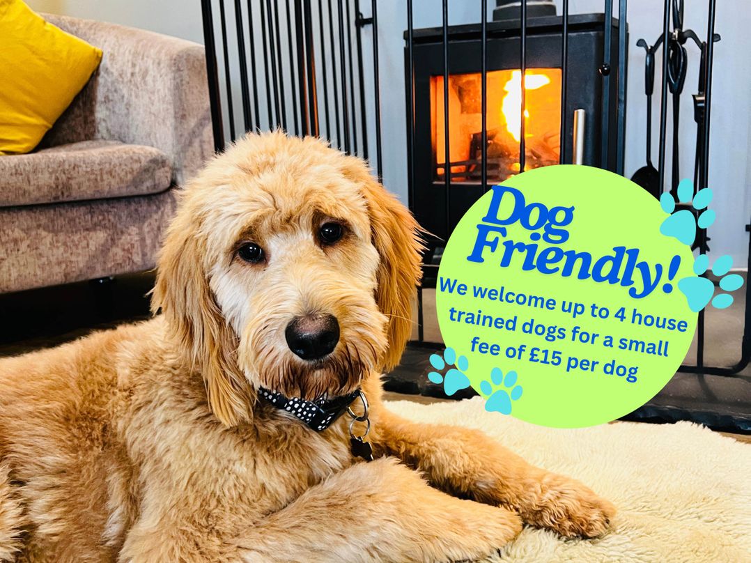 Cottage with mountain and sea views, Anglesey