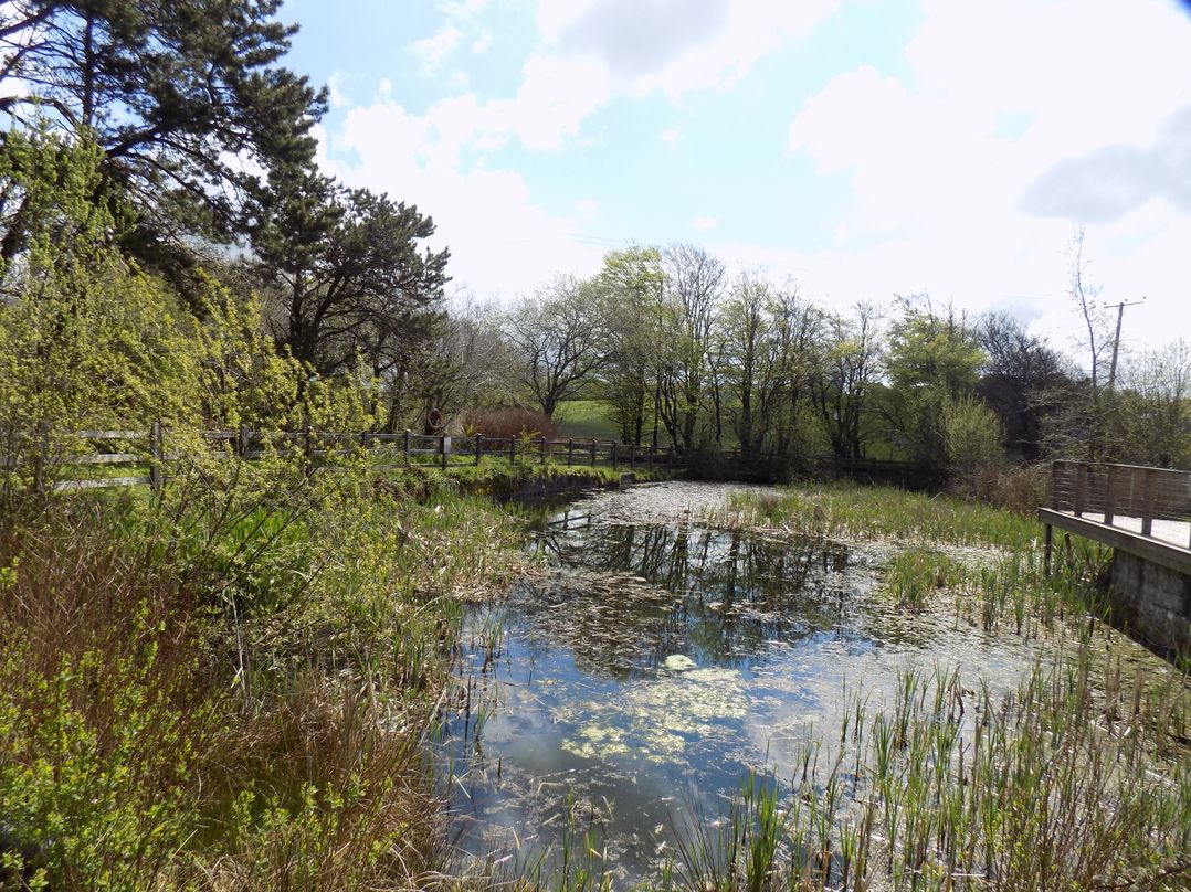 Riverside cottage near Tintagel