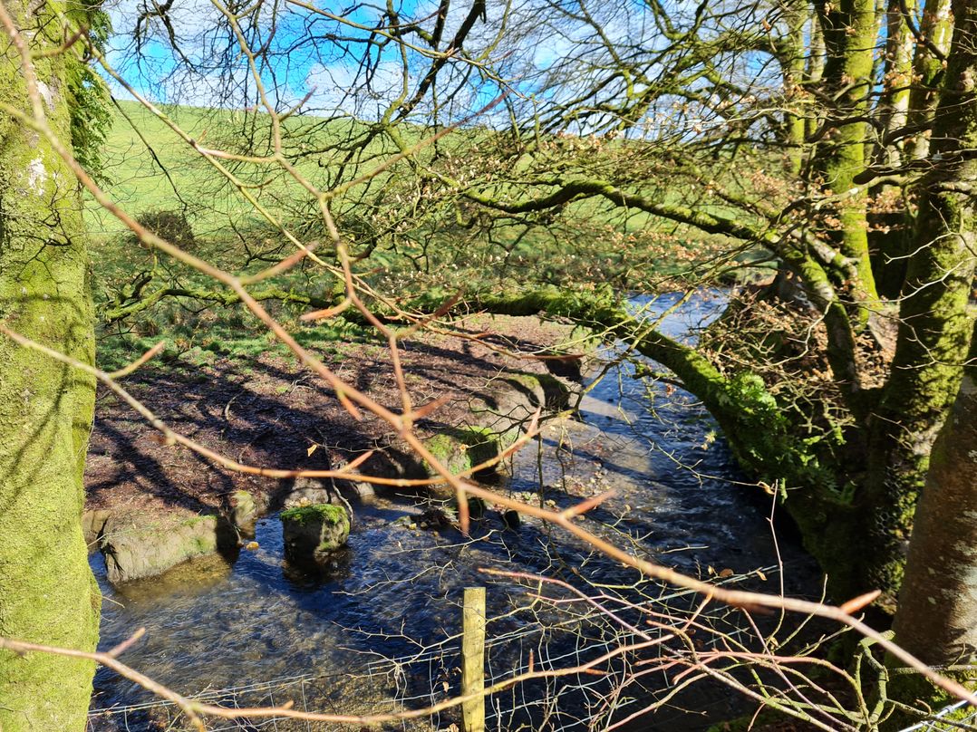 Riverside cottage near Tintagel