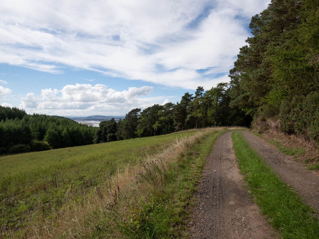 Hillside hot tub cabin with River Tay views