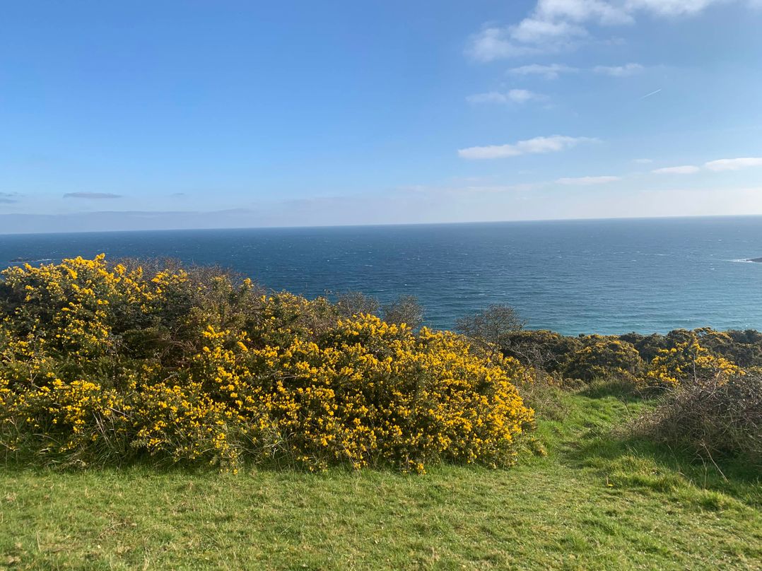 Edwardian home with sea views above the harbour