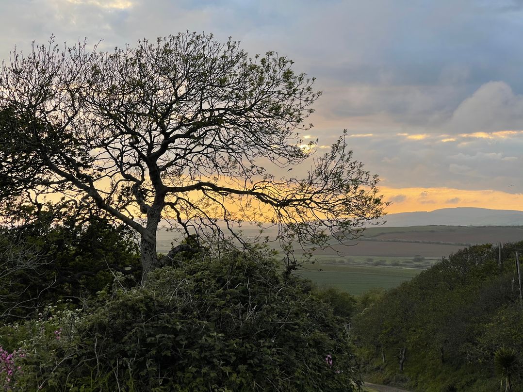 Countryside cottage with wood fire near the coast