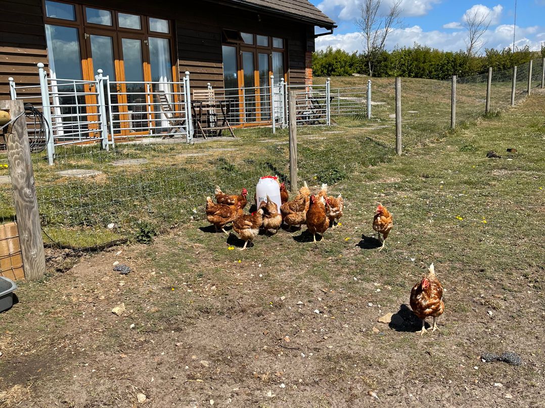 Countryside cottage with wood fire near the coast