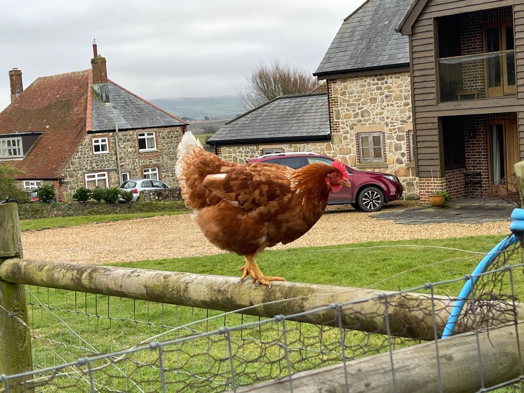 Countryside cottage with wood fire near the coast