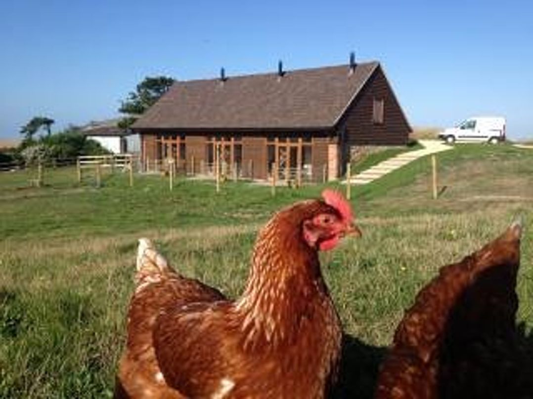 Farm cottage with wood burner in a quiet village