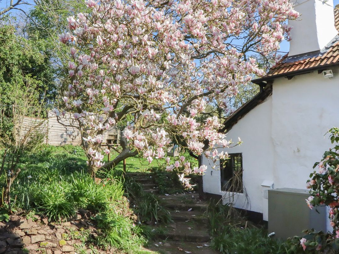 Upper Frogpool Cottage